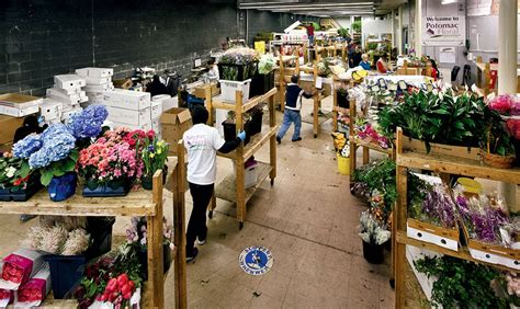 Potomac floral maryland - Potomac Floral Wholesale, Silver Spring, Maryland. 33,655 likes · 36 talking about this · 2,710 were here. Learn about new flowers and floral supplies we bring in, see what's in season, connect with...